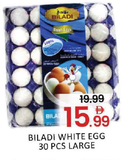 Mango available at مانجو هايبرماركت in الإمارات العربية المتحدة , الامارات - دبي