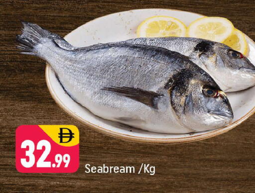 available at Shaklan  in UAE - Dubai