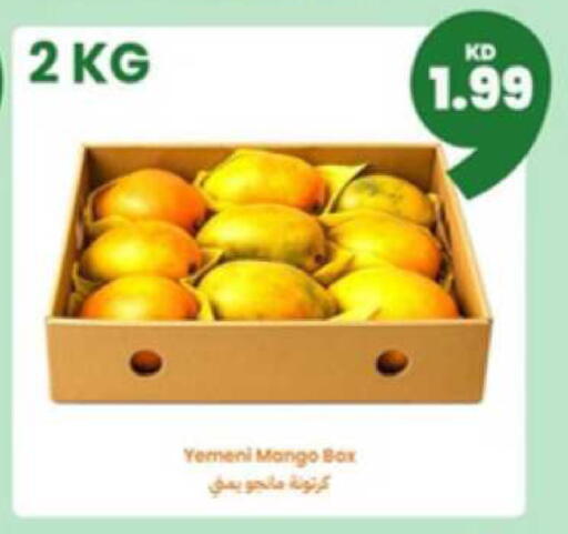 Mango from Yemen available at توصيل  in الكويت - محافظة الأحمدي
