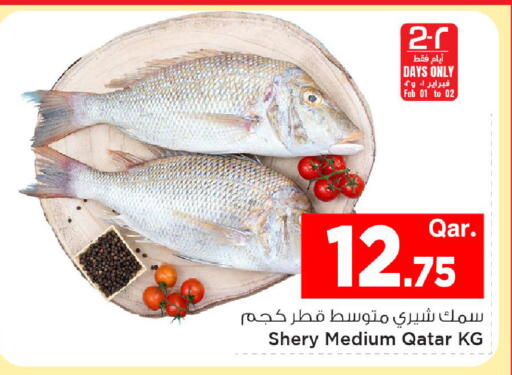 available at مارك & سيف in قطر - الشمال