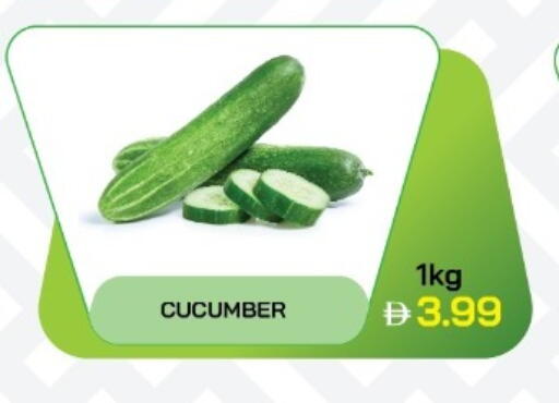 Cucumber available at  RIVIERA SUPERMARKET L.L.C in UAE - Abu Dhabi