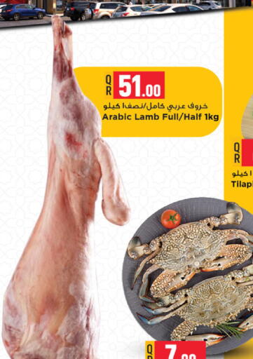 available at Marza Hypermarket in Qatar - Al Rayyan
