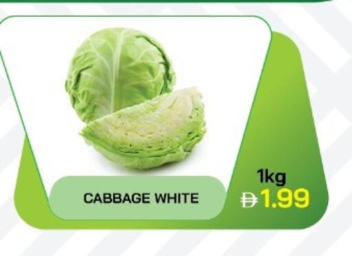 Cabbage available at  RIVIERA SUPERMARKET L.L.C in UAE - Abu Dhabi