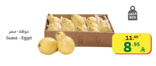 Guava from Egypt available at الراية in مملكة العربية السعودية, السعودية, سعودية - تبوك