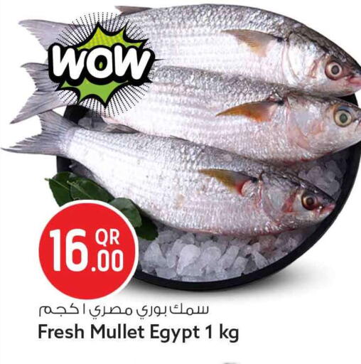 available at Safari Hypermarket in Qatar - Al Rayyan