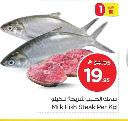 available at Nesto in KSA, Saudi Arabia, Saudi - Al Khobar