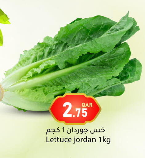 Lettuce from Jordan available at Dana Market in Qatar - Al-Shahaniya