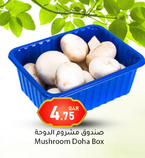 Mushroom from Qatar available at Dana Market in Qatar - Al-Shahaniya