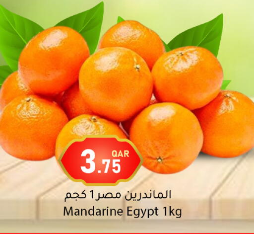 from Egypt available at Dana Market in Qatar - Al-Shahaniya
