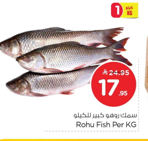 available at Nesto in KSA, Saudi Arabia, Saudi - Al Khobar