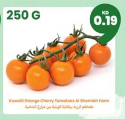 Orange Cherry Tomato from Kuwait available at توصيل  in الكويت - محافظة الأحمدي