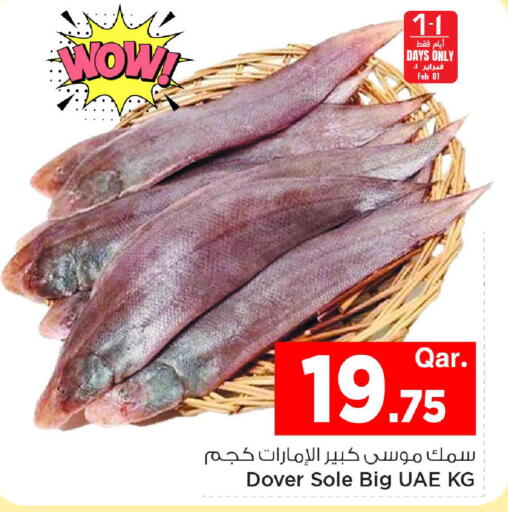 available at مارك & سيف in قطر - أم صلال