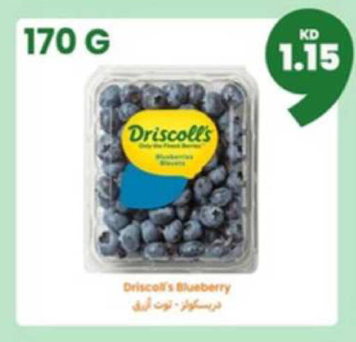 Blueberry BlueBerry available at توصيل  in الكويت - محافظة الأحمدي