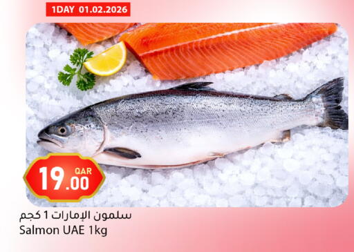 available at Dana Market in Qatar - Al Rayyan