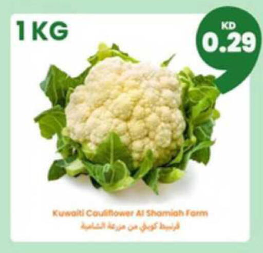 Cauliflower from Kuwait available at توصيل  in الكويت - محافظة الأحمدي