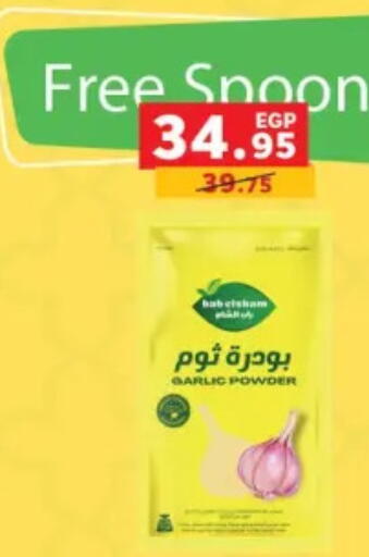 Garlic available at بنده in Egypt - القاهرة