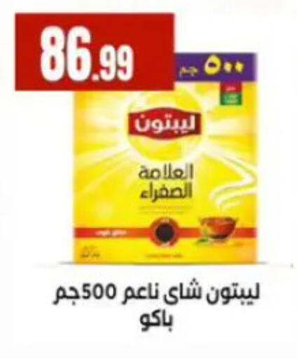 available at المحلاوي ستورز in Egypt - القاهرة