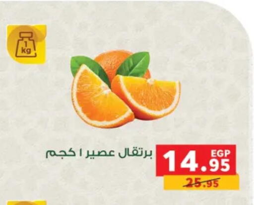 available at بنده in Egypt - القاهرة