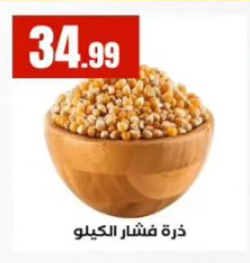 available at المحلاوي ستورز in Egypt - القاهرة