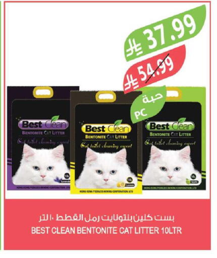 Apple available at Farm  in KSA, Saudi Arabia, Saudi - Sakaka