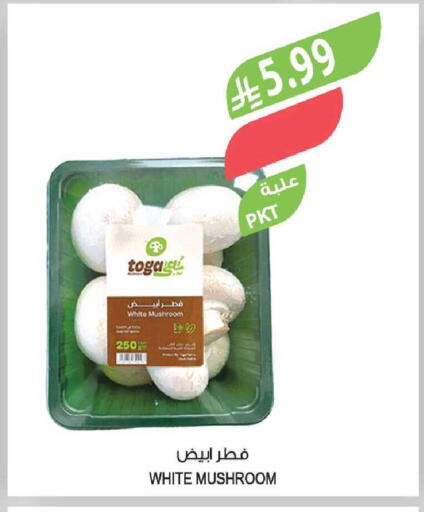 Mushroom available at Farm  in KSA, Saudi Arabia, Saudi - Yanbu