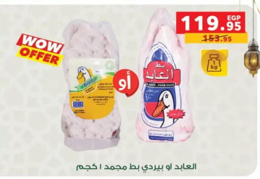 available at بنده in Egypt - القاهرة