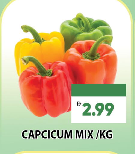 available at Leptis Hypermarket  in UAE - Al Ain