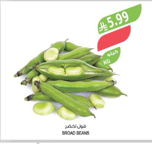 available at Farm  in KSA, Saudi Arabia, Saudi - Yanbu