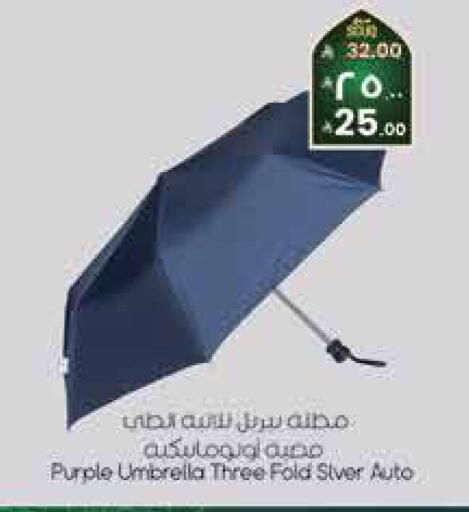 available at City Flower in KSA, Saudi Arabia, Saudi - Jubail