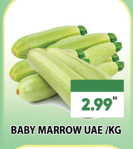 Marrow available at Leptis Hypermarket  in UAE - Al Ain