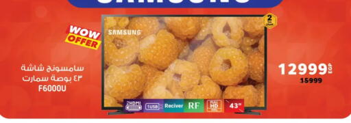 available at بنده in Egypt - القاهرة