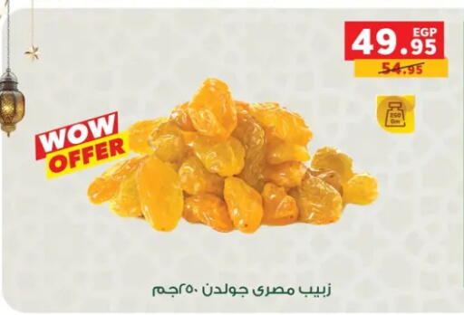 available at بنده in Egypt - القاهرة