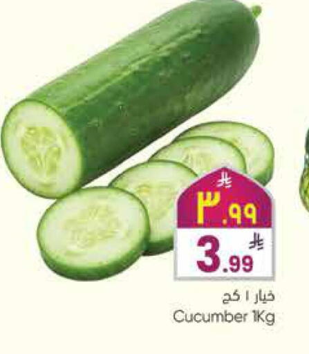 Cucumber available at City Flower in KSA, Saudi Arabia, Saudi - Hail