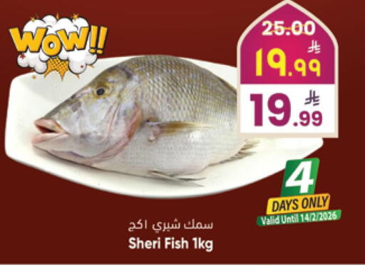 available at City Flower in KSA, Saudi Arabia, Saudi - Hail