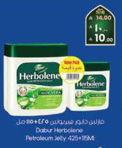available at City Flower in KSA, Saudi Arabia, Saudi - Jubail