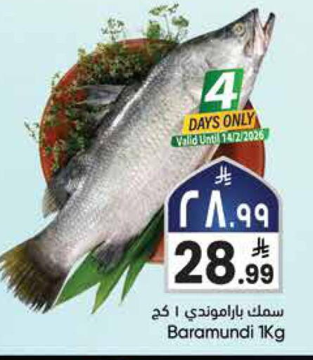 available at ستي فلاور in مملكة العربية السعودية, السعودية, سعودية - سكاكا