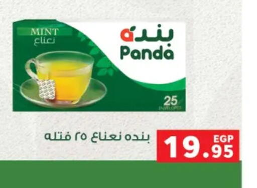 Mint available at بنده in Egypt - القاهرة