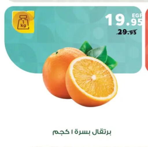 available at Panda  in Egypt - Cairo