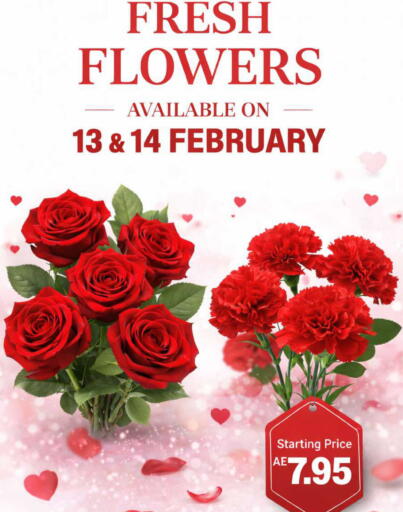 available at ويست زون سوبرماركت in الإمارات العربية المتحدة , الامارات - دبي