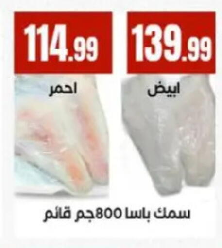 available at المحلاوي ستورز in Egypt - القاهرة