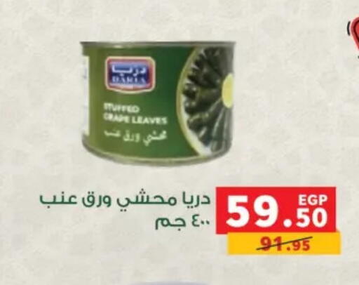 available at بنده in Egypt - القاهرة