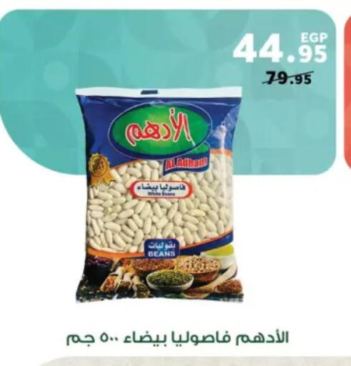 available at بنده in Egypt - القاهرة