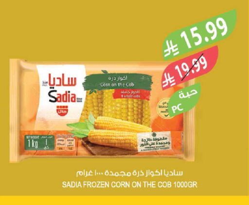 available at Farm  in KSA, Saudi Arabia, Saudi - Yanbu