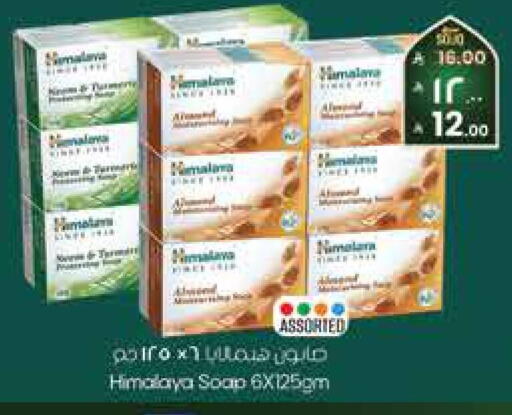 available at City Flower in KSA, Saudi Arabia, Saudi - Jubail