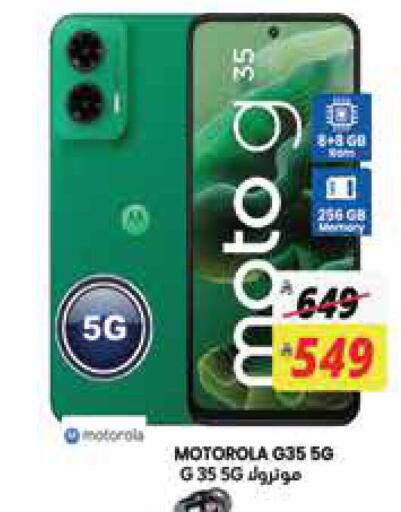 available at City Flower in KSA, Saudi Arabia, Saudi - Jubail