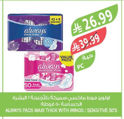 available at المزرعة in مملكة العربية السعودية, السعودية, سعودية - الخرج