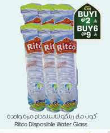 available at City Flower in KSA, Saudi Arabia, Saudi - Jubail