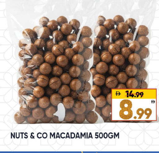 available at ليبتس هايبرماركت in الإمارات العربية المتحدة , الامارات - ٱلْعَيْن‎