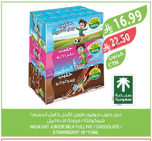 Strawberry available at المزرعة in مملكة العربية السعودية, السعودية, سعودية - تبوك