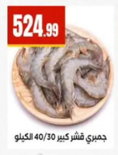 available at المحلاوي ستورز in Egypt - القاهرة